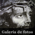 Galería de fotos